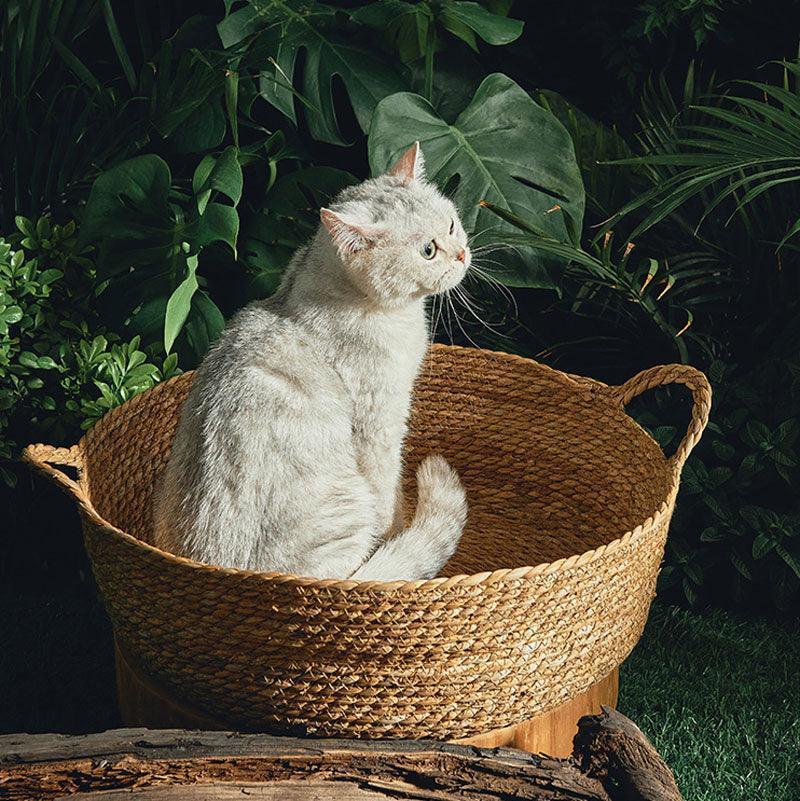 Pure Manual Woven Cat Nest Scratch Board Four Seasons General Pet Bed