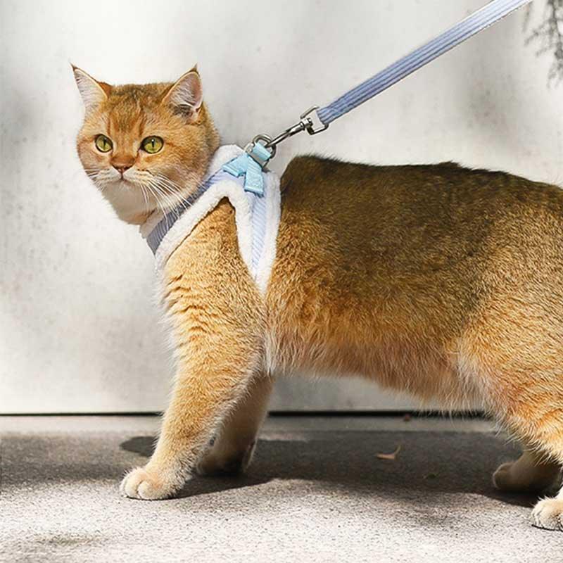 Cat Harness Escape Proof 3 Color Vest Leash Set