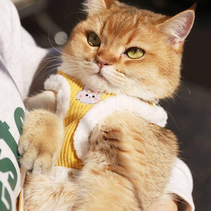 Cat Harness Escape Proof 3 Color Vest Leash Set