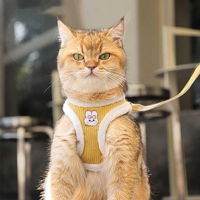Cat Harness Escape Proof 3 Color Vest Leash Set