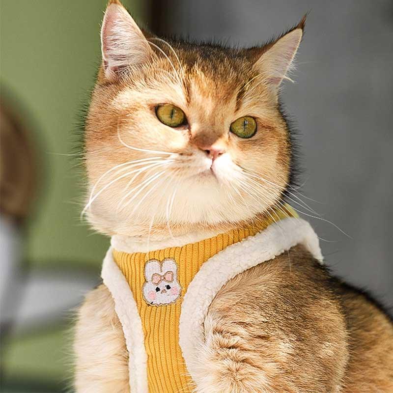 Cat Harness Escape Proof 3 Color Vest Leash Set