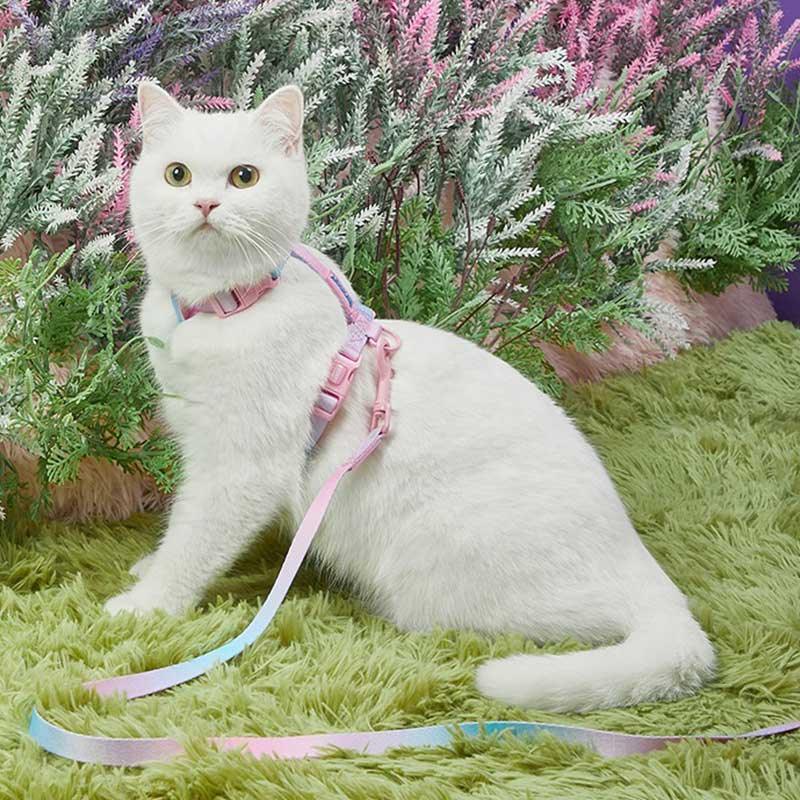 Rainbow Cat Leash 3 Color Cat Harness Lead Escape Proof