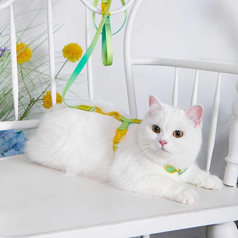 Rainbow Cat Leash 3 Color Cat Harness Lead Escape Proof
