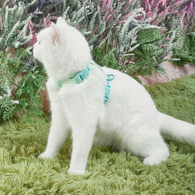 Rainbow Cat Leash 3 Color Cat Harness Lead Escape Proof