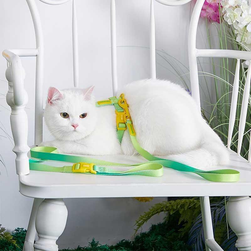 Rainbow Cat Leash 3 Color Cat Harness Lead Escape Proof