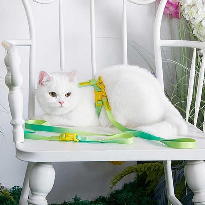 Rainbow Cat Leash 3 Color Cat Harness Lead Escape Proof