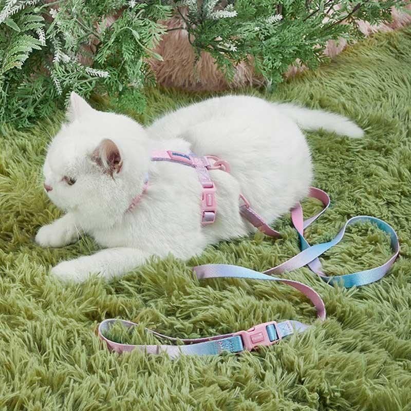 Rainbow Cat Leash 3 Color Cat Harness Lead Escape Proof