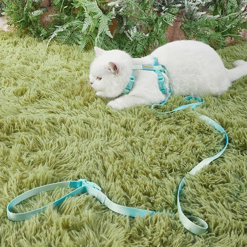 Rainbow Cat Leash 3 Color Cat Harness Lead Escape Proof