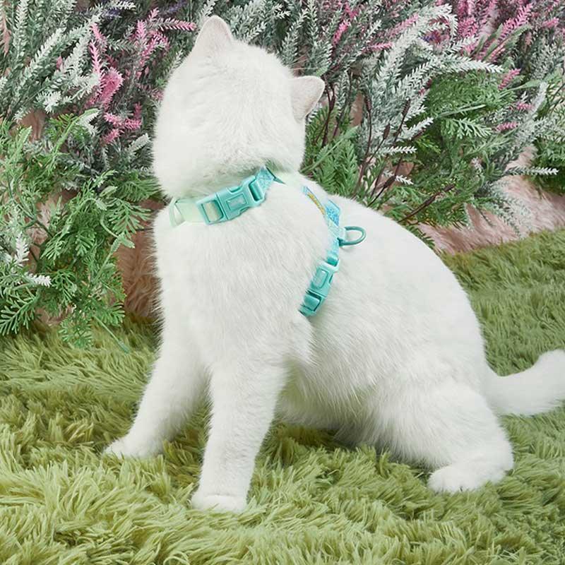 Rainbow Cat Leash 3 Color Cat Harness Lead Escape Proof