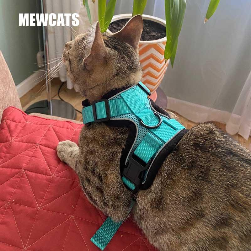Cat Leash Set Breathable Reflective Strips Jacket 11 Color Adjustable Vest Harnesses Cat Lead