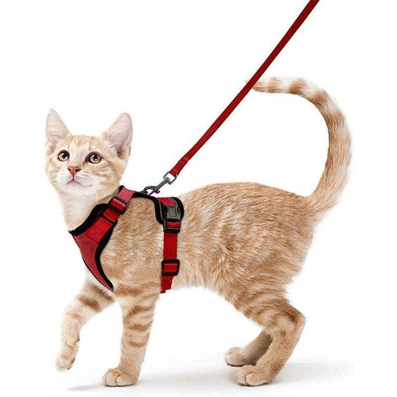 Reflective Strips Cat Leash Set rose Vest Harnesses