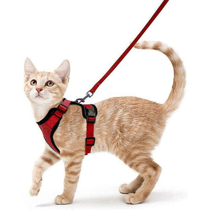 Reflective Strips Cat Leash Set rose Vest Harnesses