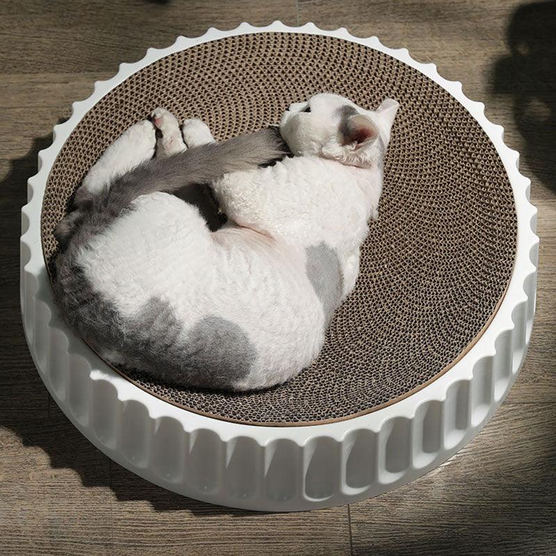 Round Bed Cat Scratcher Pad Grinding Claws White Kitten Scrapers