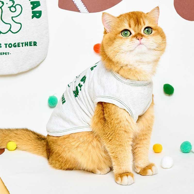 Rugby Star Cat Vest 2 Colors Pet Clothes