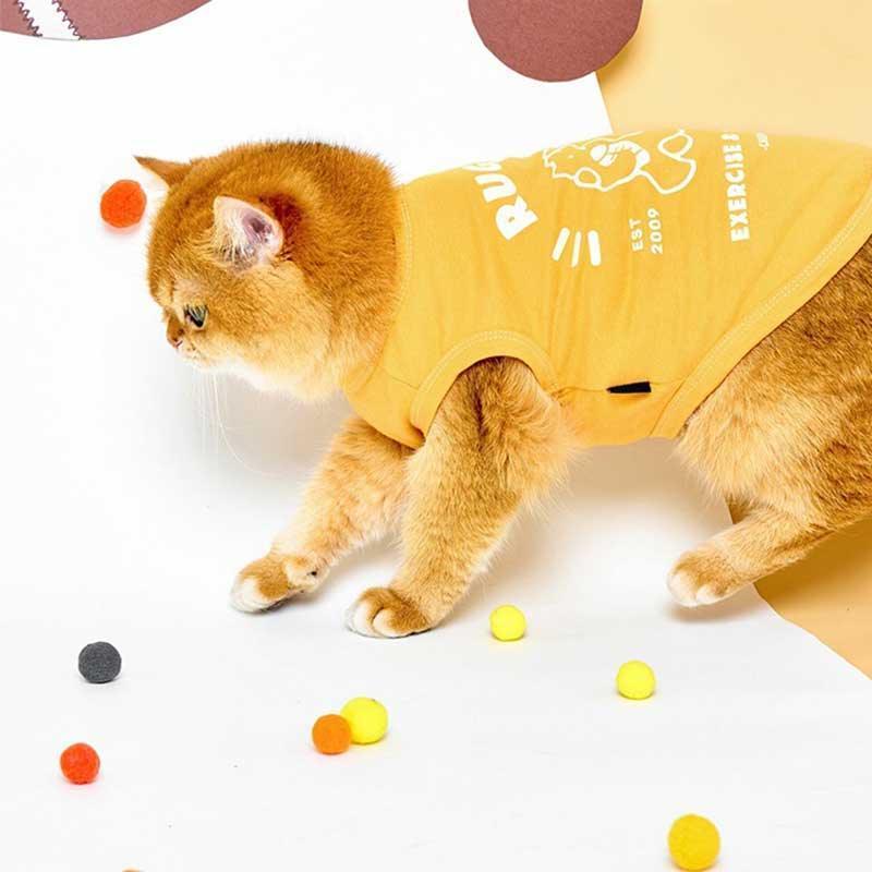 Rugby Star Cat Vest 2 Colors Pet Clothes