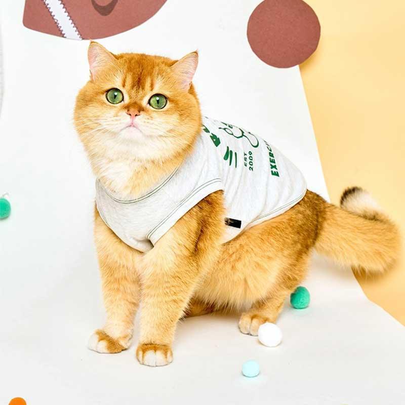 Rugby Star Cat Vest 2 Colors Pet Clothes