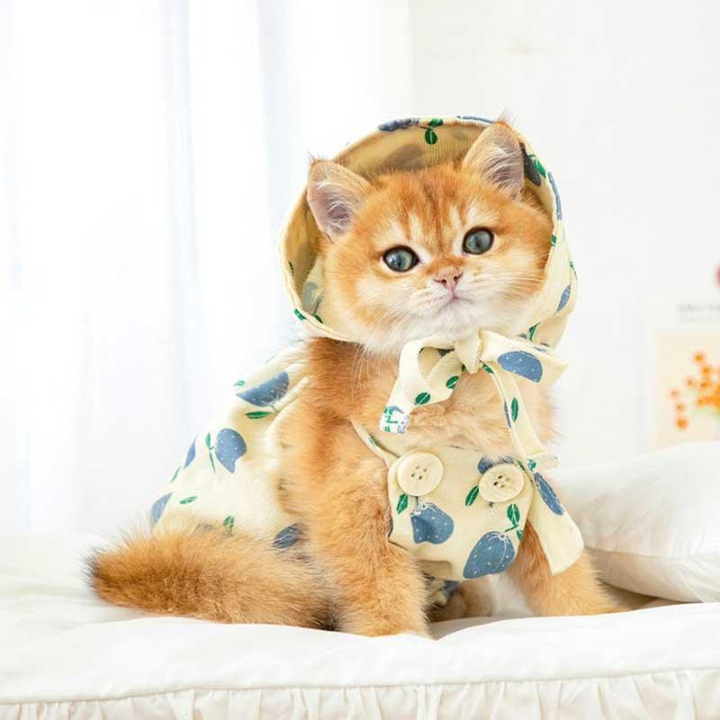 Rustic Cat Pumpkin Pants 2 Color Pet Clothes