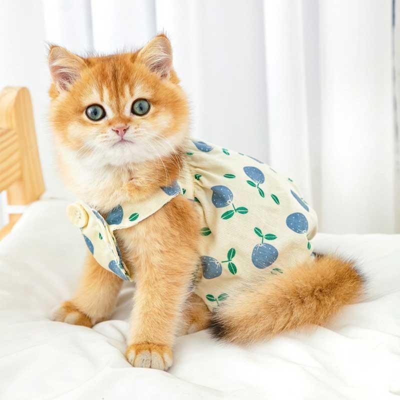 Rustic Cat Pumpkin Pants 2 Color Pet Clothes
