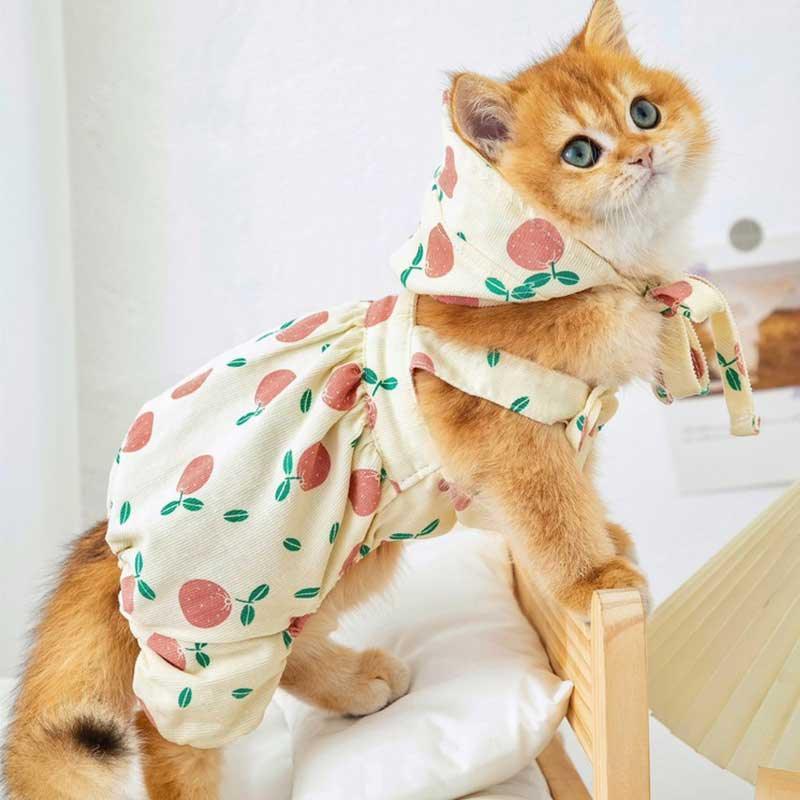 Rustic Cat Pumpkin Pants 2 Color Pet Clothes