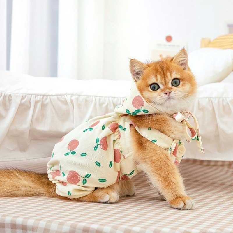 Rustic Cat Pumpkin Pants 2 Color Pet Clothes