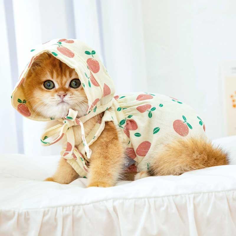 Rustic Cat Pumpkin Pants 2 Color Pet Clothes