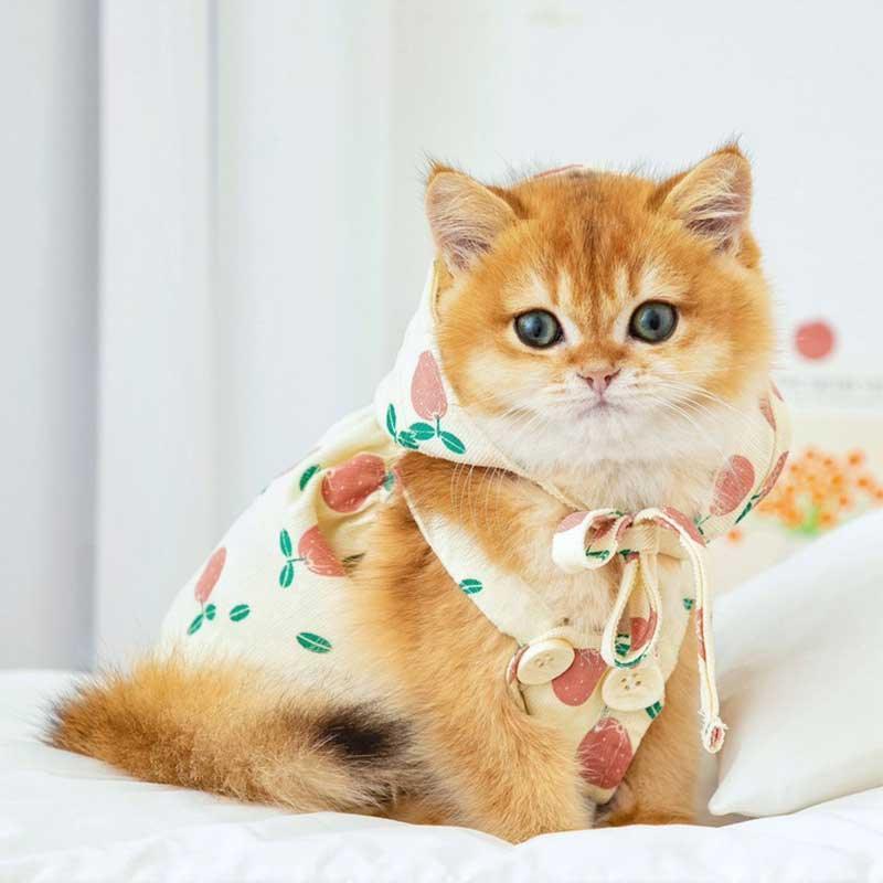 Rustic Cat Pumpkin Pants 2 Color Pet Clothes