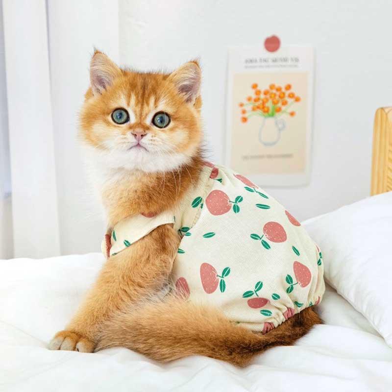 Rustic Cat Pumpkin Pants 