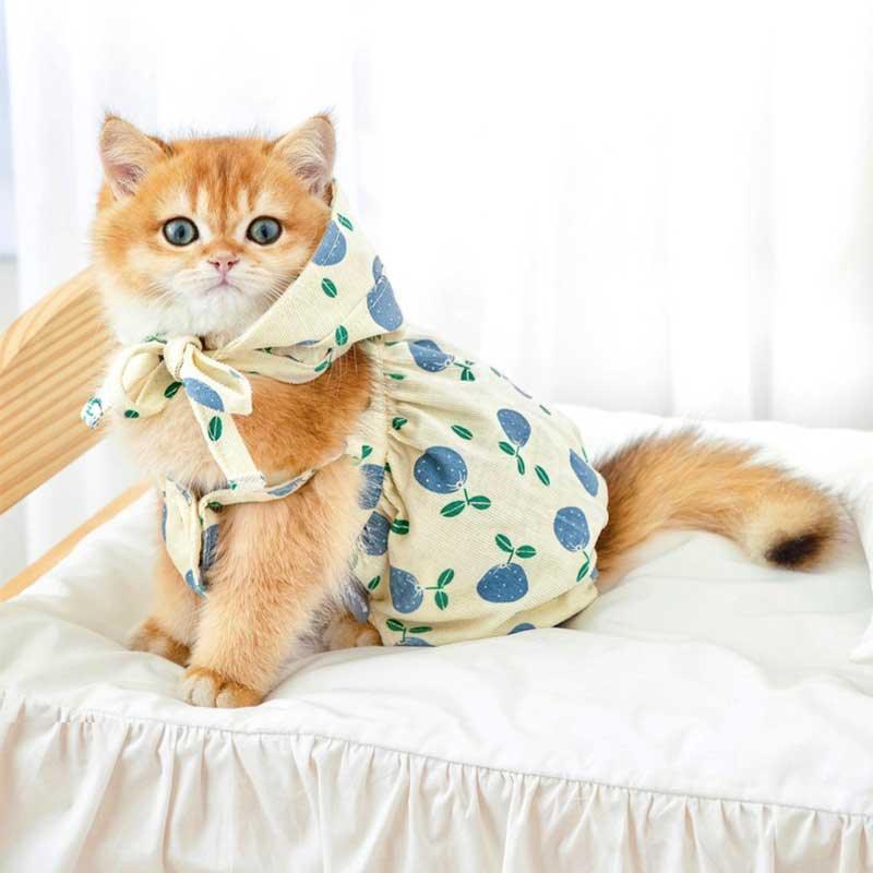 Rustic Cat Pumpkin Pants 2 Color Pet Clothes