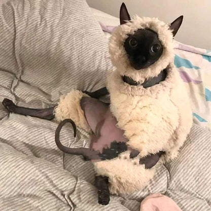 Sheep Funny Hairless Cat Sphynx Clothes - MEWCATS