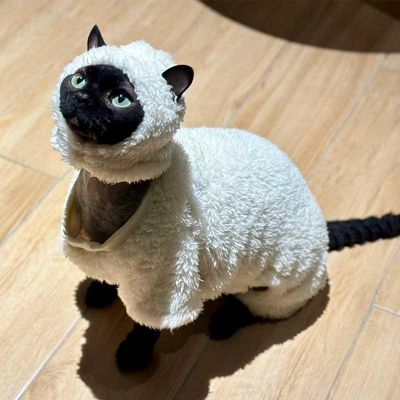 Sheep Funny Hairless Cat Sphynx Clothes - MEWCATS