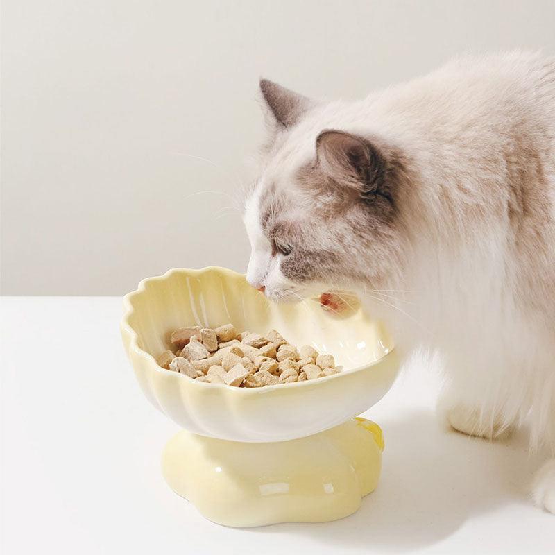 Shell Cat Food Water Bowl 2 Color Ceramic Elevated Bowl