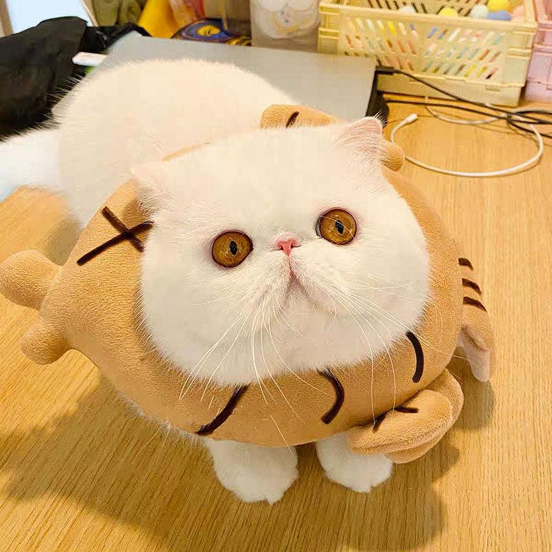 Snapper Cat Cone Cute Collar