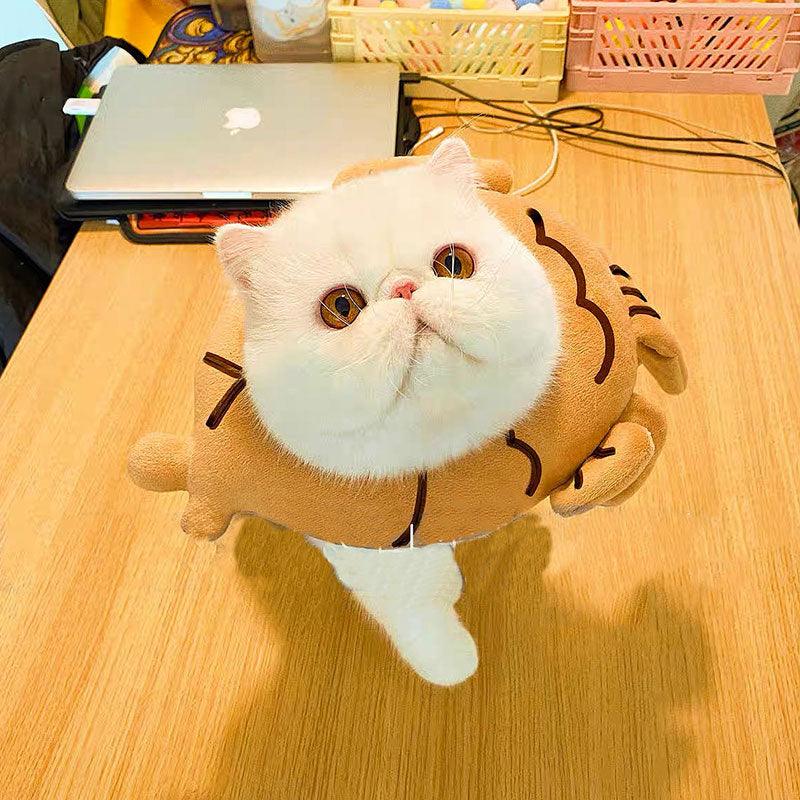 Snapper Cat Cone Cute Collar