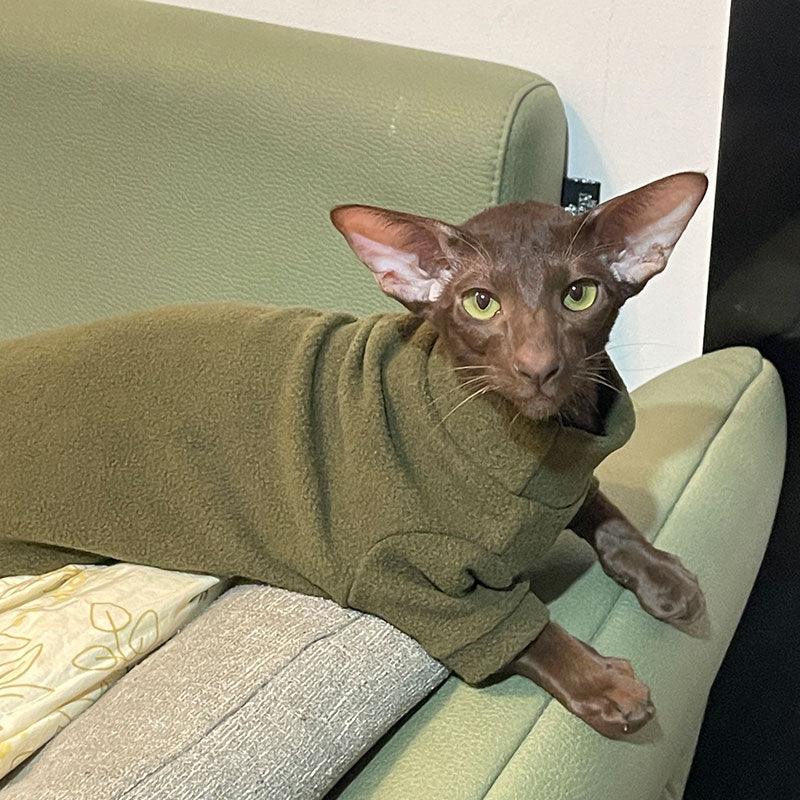 Solid Color Warm Sphynx Hairless Cat Green Clothes