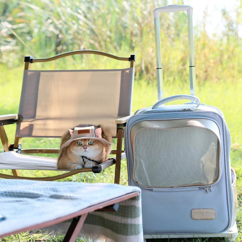 Spacious Pet Carrier Backpack for Cats - MEWCATS