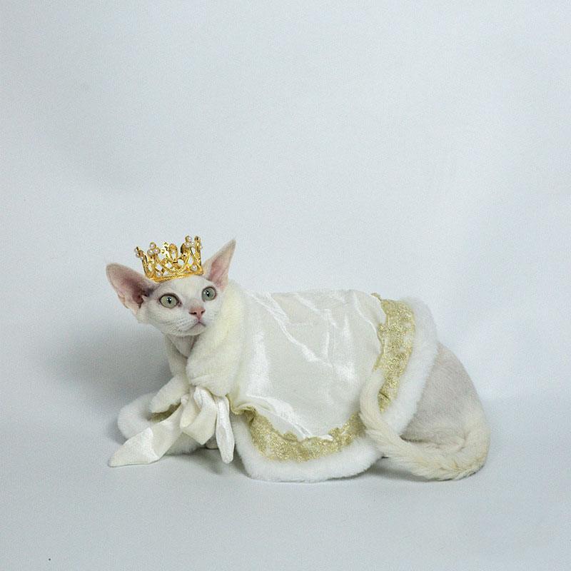Sphynx Cat Clothes Warm Upscale Couple Cape - MEWCATS