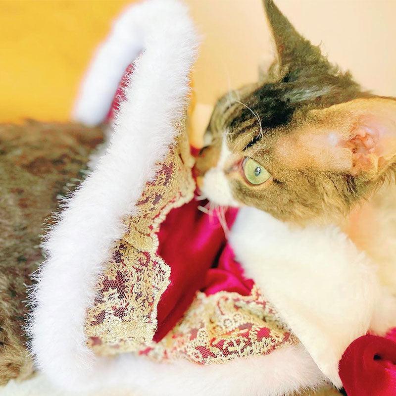 Sphynx Cat Clothes Warm Upscale Couple Cape - MEWCATS