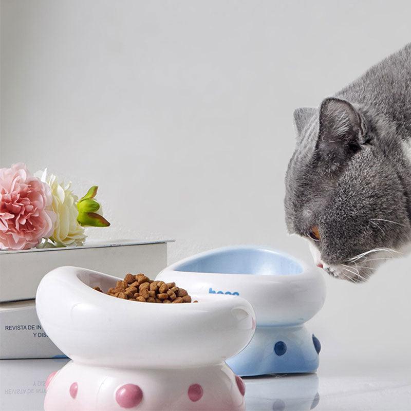 Ceramic Cat Food Bowl Elevated Water Bowl