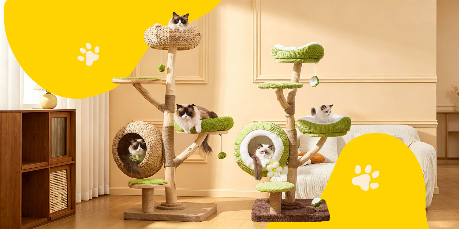 mewcats summer cat tree