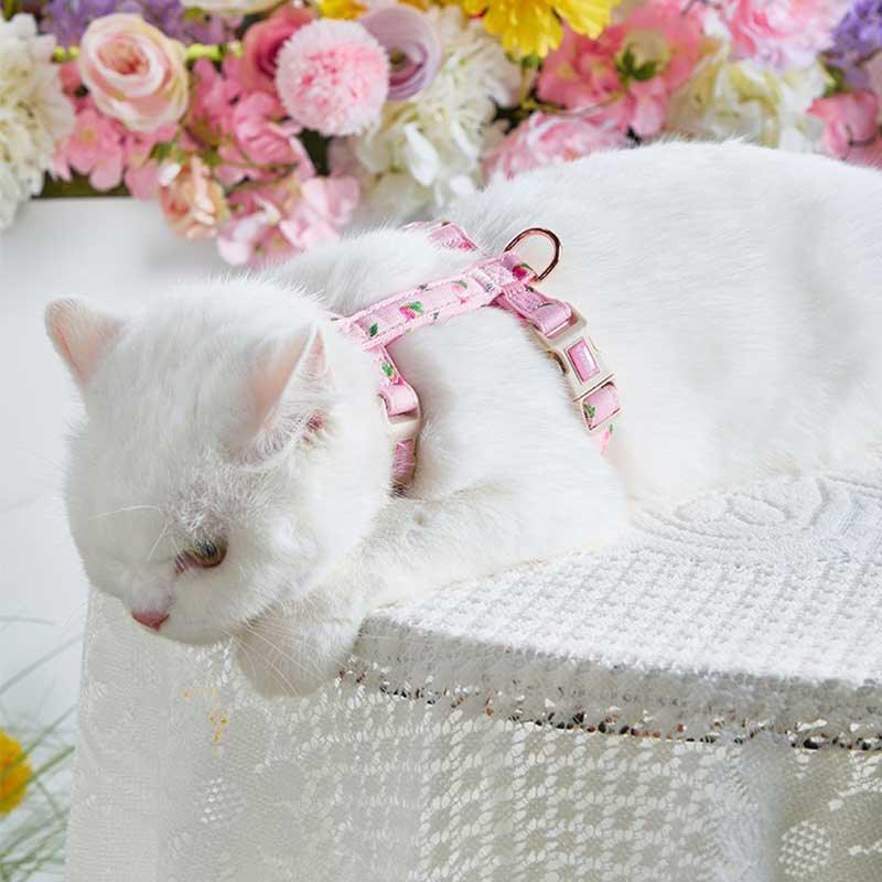 Summer Fruit Adjustable Cat Leash 4 Color Cat Harness Lead