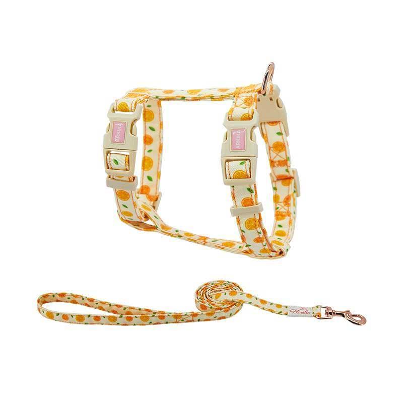 Summer Fruit Adjustable Cat Leash 4 Color Cat Harness Lead - MEWCATS