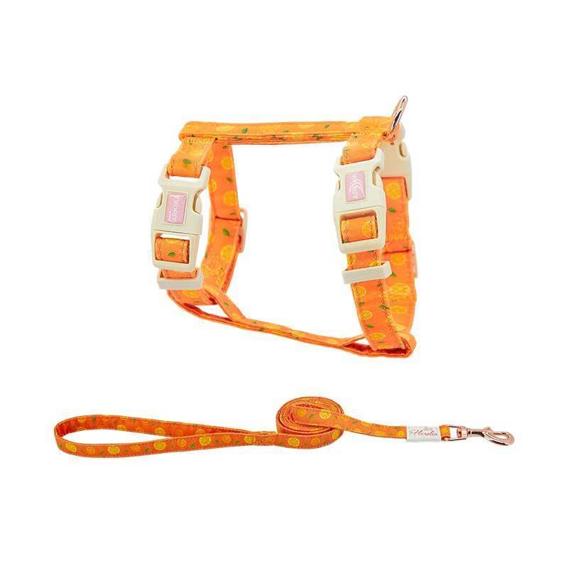 Summer Fruit Adjustable Cat Leash 4 Color Cat Harness Lead - MEWCATS
