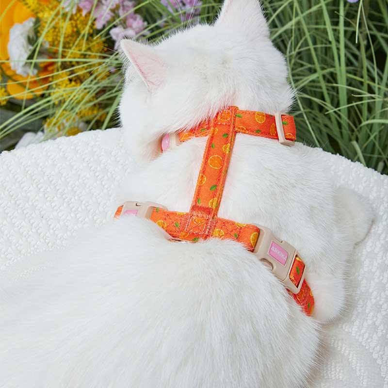 Summer Fruit Adjustable Cat Leash 4 Color Cat Harness Lead