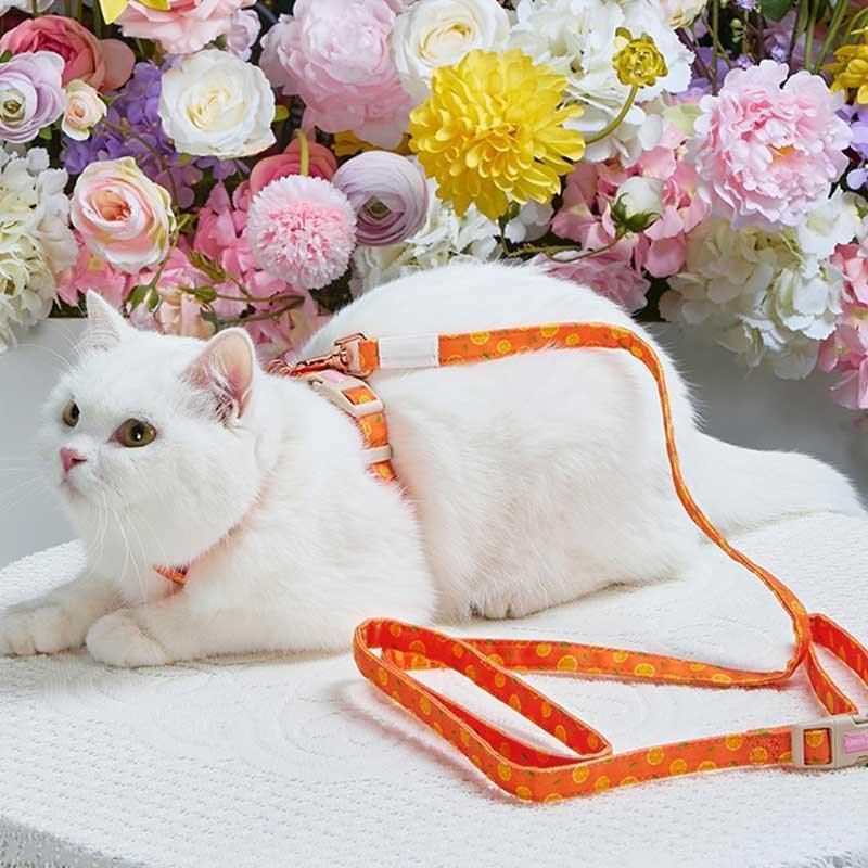 Summer Fruit Adjustable Cat Leash 4 Color Cat Harness Lead