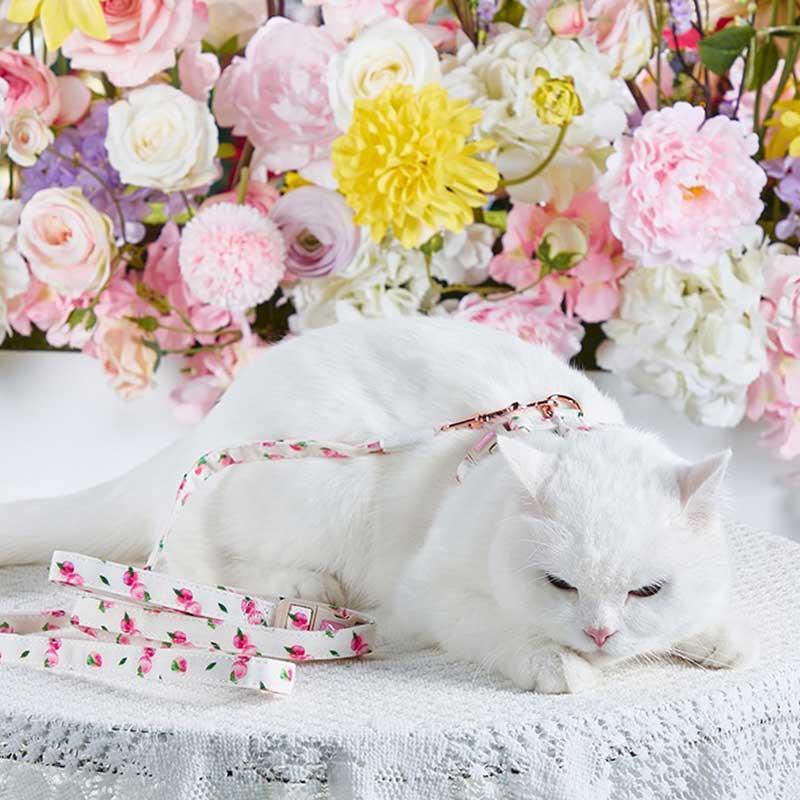 Summer Fruit Adjustable Cat Leash 4 Color Cat Harness Lead