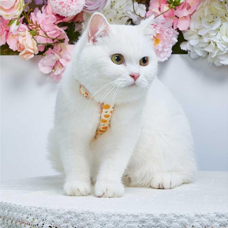 Summer Fruit Adjustable Cat Leash 4 Color Cat Harness LeadSummer Fruit Adjustable Cat Leash 4 Color Cat Harness Lead