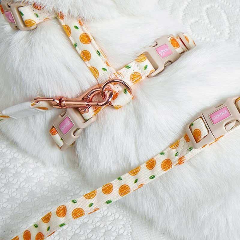 Summer Fruit Adjustable Cat Leash 4 Color Cat Harness Lead