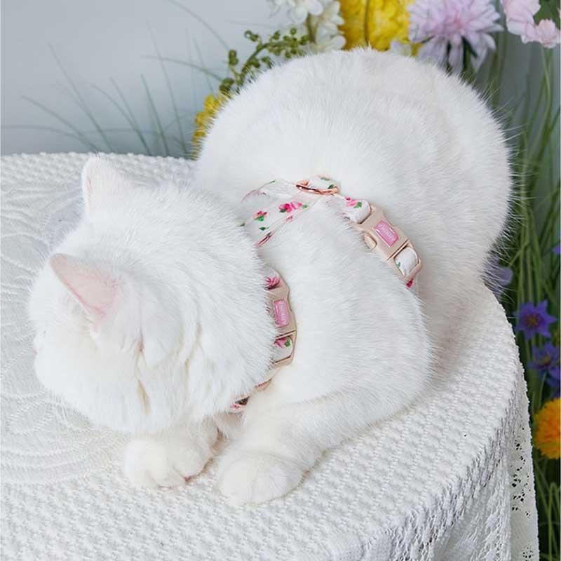 Summer Fruit Adjustable Cat Leash 4 Color Cat Harness Lead