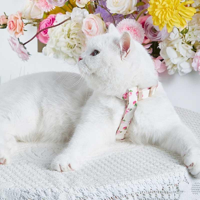 Summer Fruit Adjustable Cat Leash 4 Color Cat Harness Lead