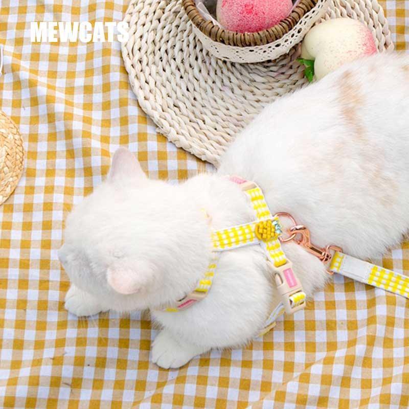 Summer Fruit Series Cat Leash 2 Color Cat Carrier Harness